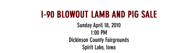 i-90 BLOWOUT SALE